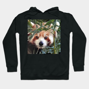 Red Panda Hoodie